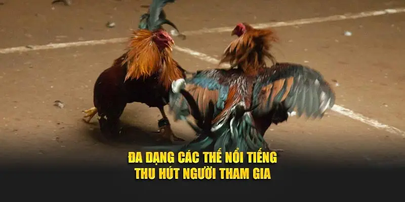Đa dạng các thế nổi tiếng thu hút người tham gia